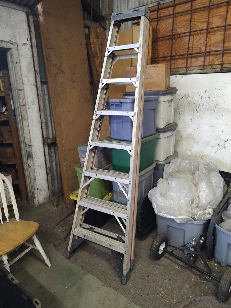 Werner 8' Ladder 