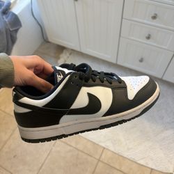 Panda nike dunks 