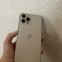 iPhone 12 Pro Max Unlocked