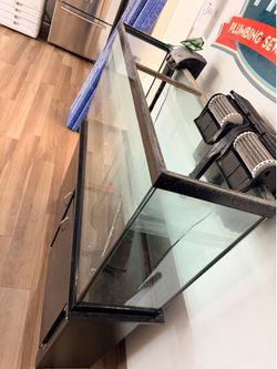 Complete Fish Tanks/food/filters/etc…