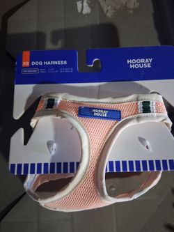 Harness