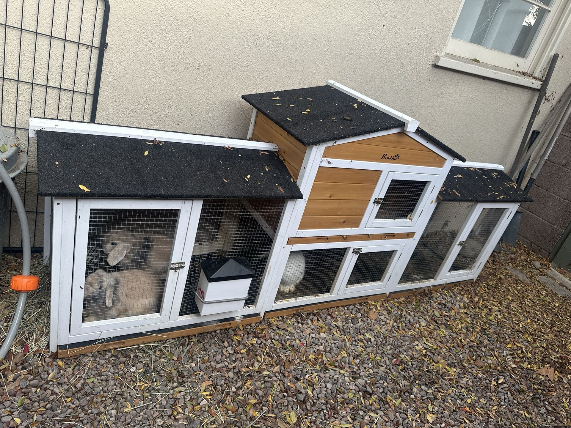 Outdoor Bunny Rabbit Hutch