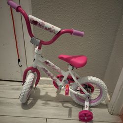 New Bicycle For Girl 