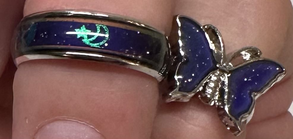 Complementary Rings (2)