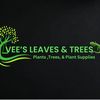 Vee's Trees and Leaves