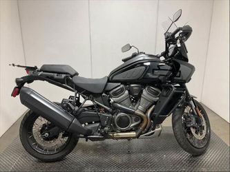 2024 Harley-Davidson Ra1250s - Pan America 1250 Special