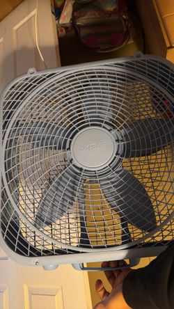 Fan