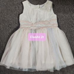 Girl Toddler Dress 2t