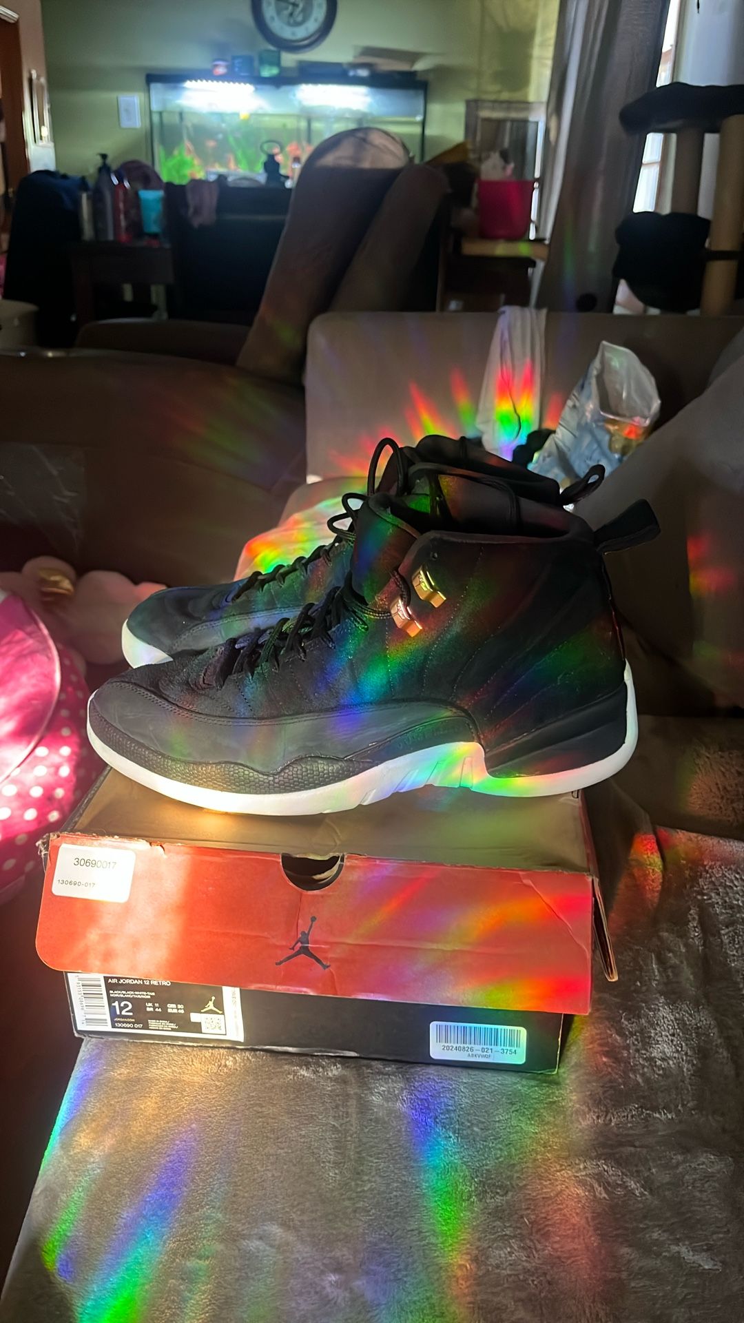 air jordan 12 retro