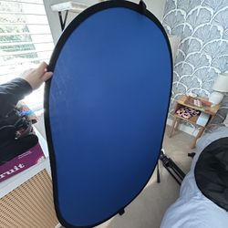 Backdrop And Light Stands And Lights For Sale
