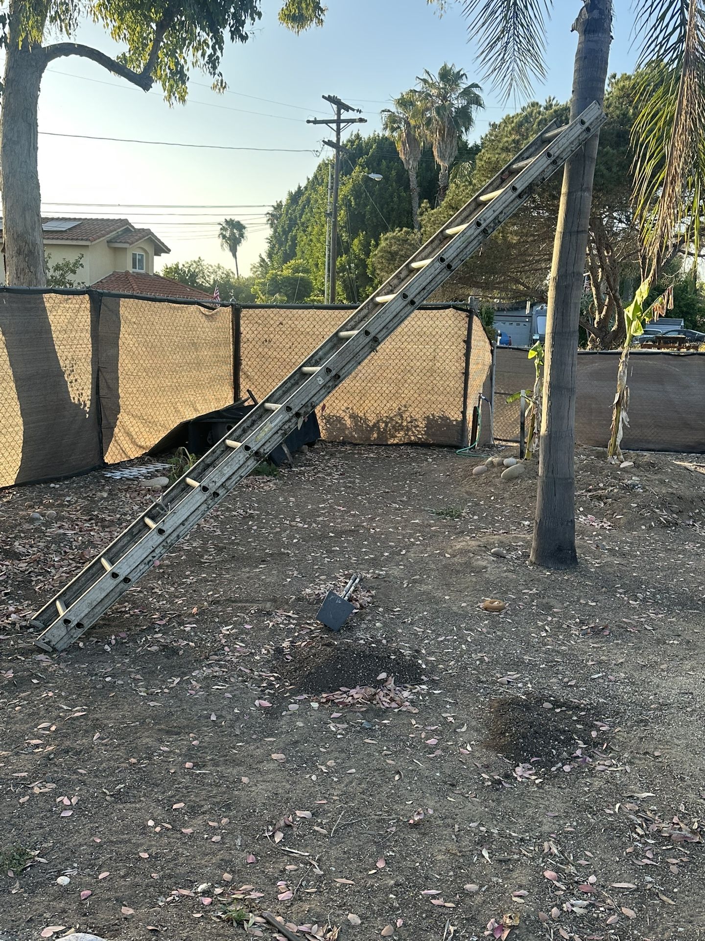 Extension Ladder 24’