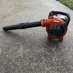 Echo Blower 