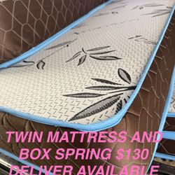 Twin Bed And Box Spring $130