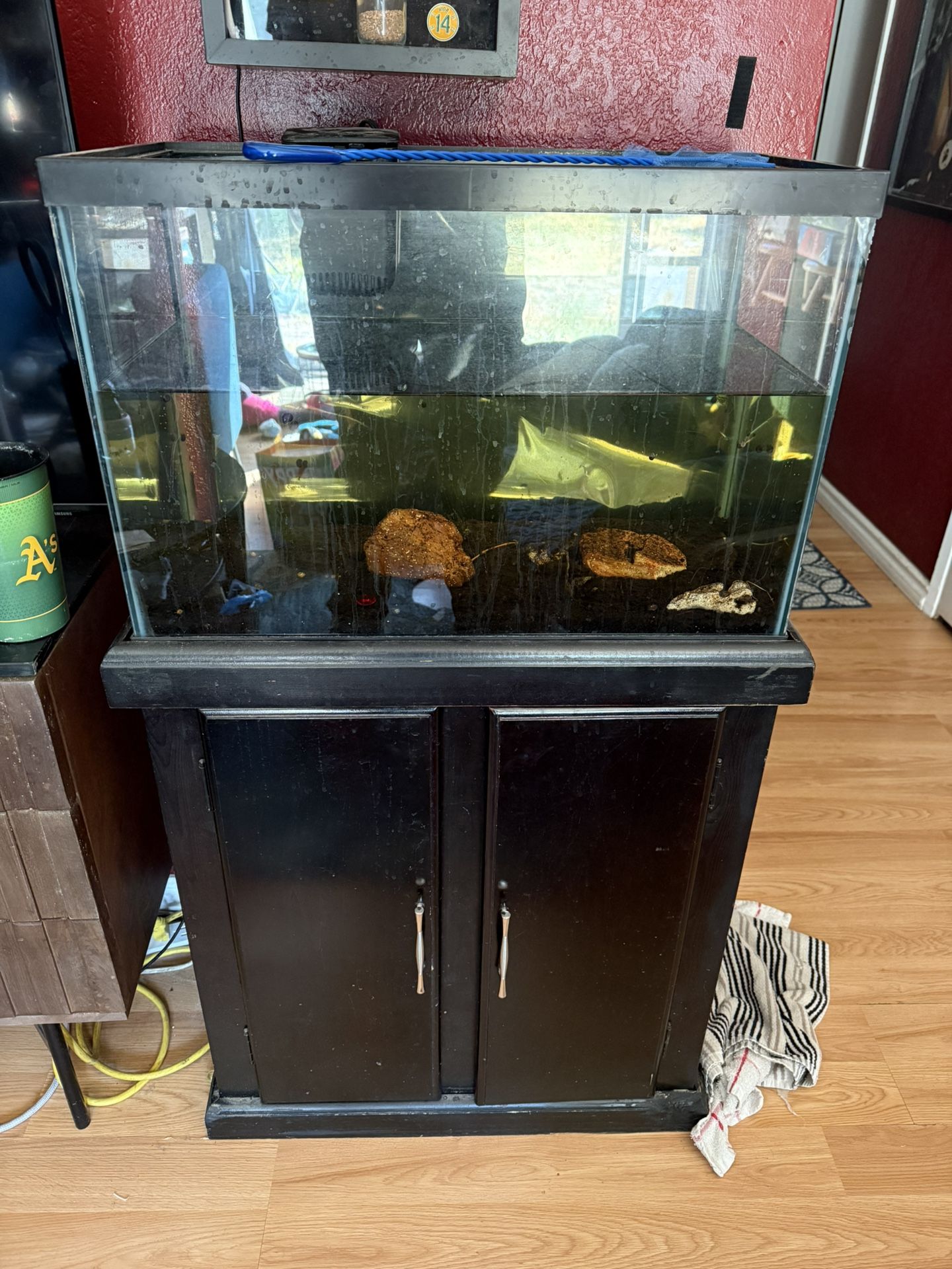 20 Gallon Tank