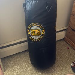 Punching Bag