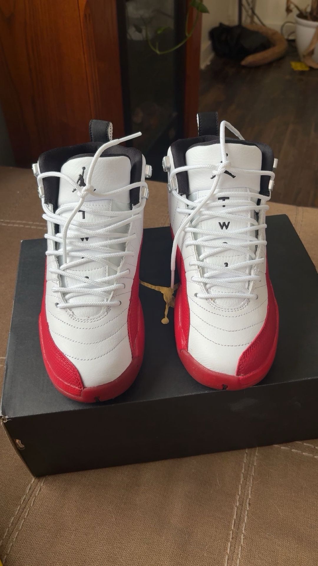 Jordan 12 Retro (GS)