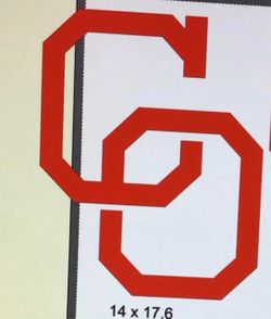 Yaquis logo