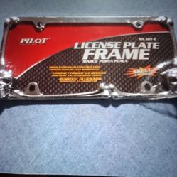 Skull license plate cover