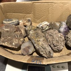 geode and mostly petrified rock 11lbs of rock