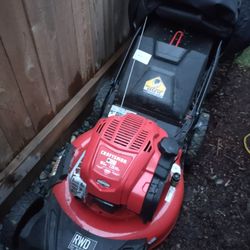 Half Price Lawnmower!