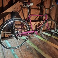 VINTAGE SCHWINN BICYLCE COLLEGIATE
