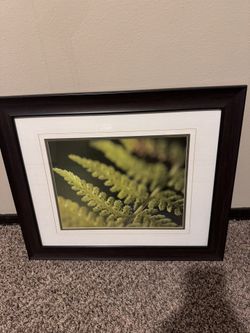 Frame Picture