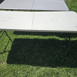 Two Folding Plastic Tables
