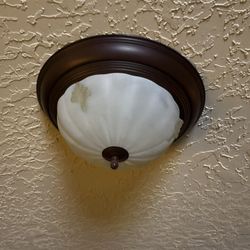 Light Fixture 