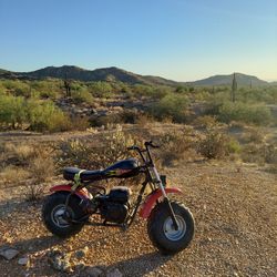 Coleman Motorcycle Fat Tire Dirt Bike Pit Bike