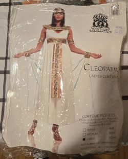 Cleopatra/Princes of the Nile Costume