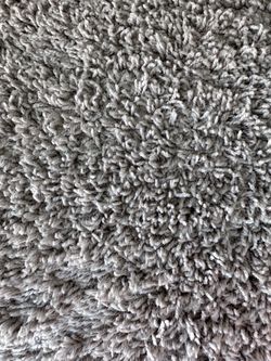 New Carpet with Padding – Approx. 375+ Sq Ft