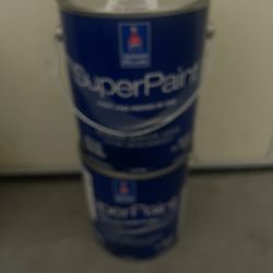 Sherwin Williams Paint - Dorian Grey