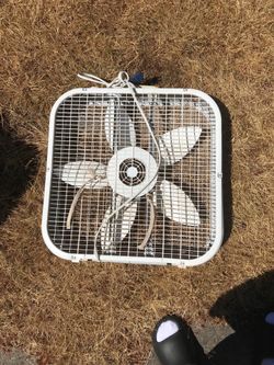 Fan