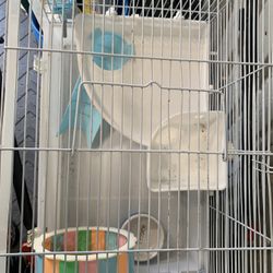 Hamster Cage 