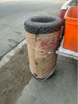 $100  only today