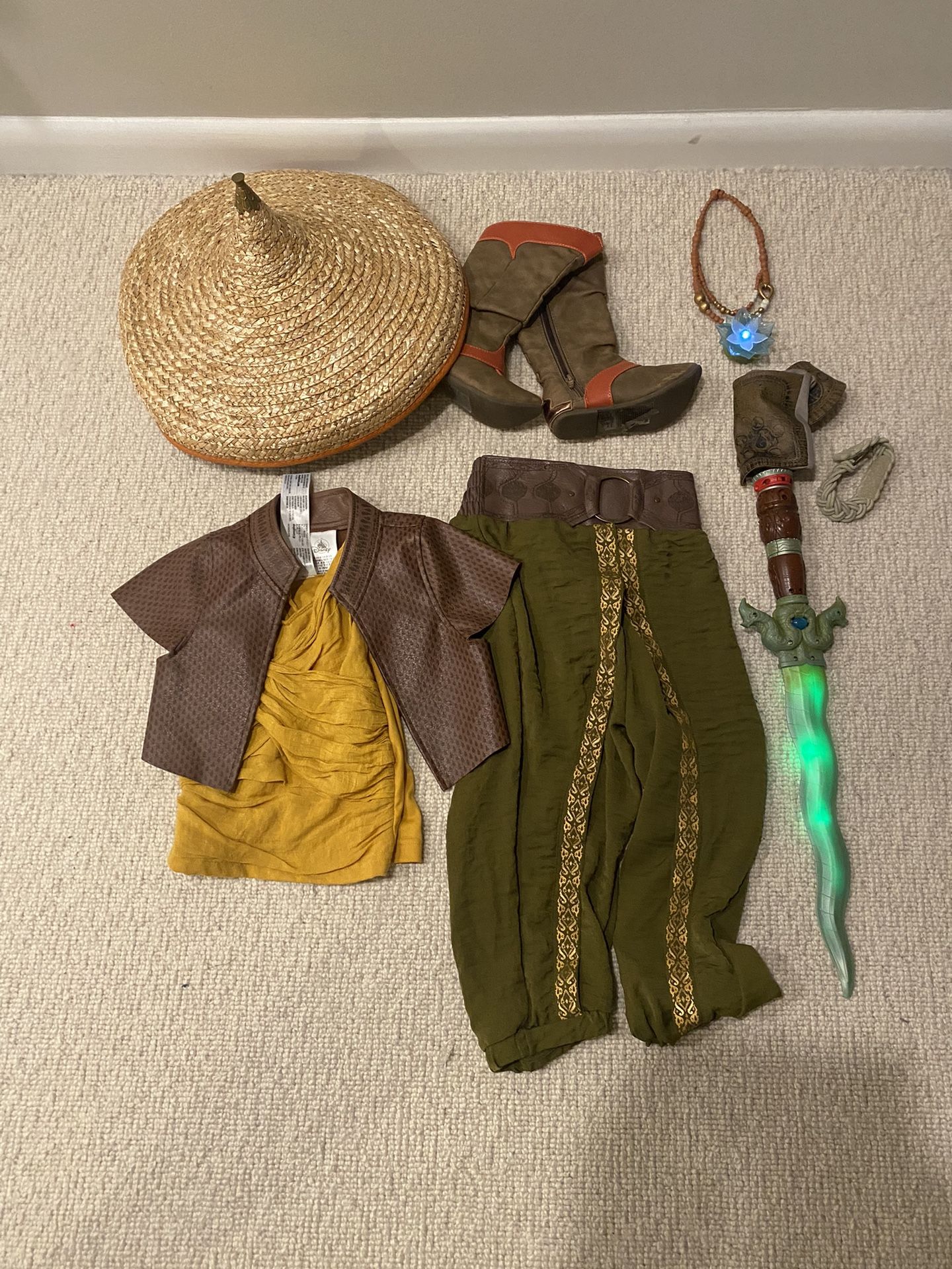 Raya Disney Costume