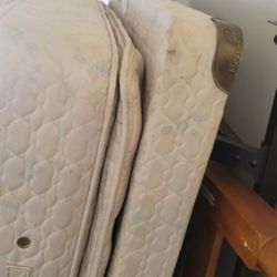Full Sized Mattress 