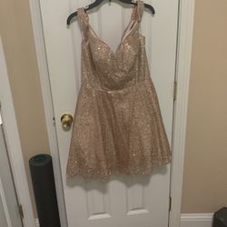 Rose Gold Glitter Dress