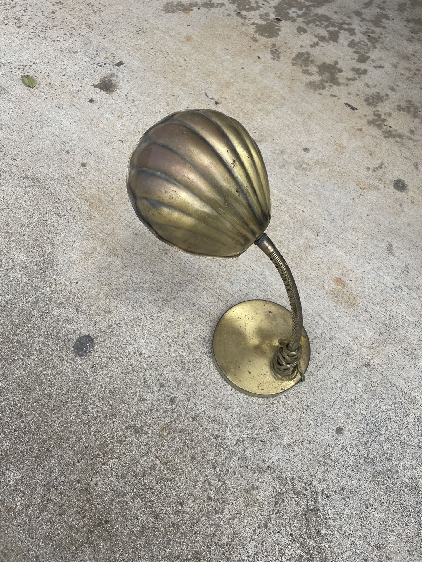 Mid Century Brass Clam Shell Table Lamp