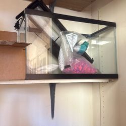 Aquarium Stuff