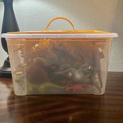 Box Of Assorted Dinosaurs