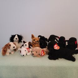 Beanie Babies Collectibles  - Dogs