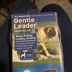 Gentle Leader Never Used, Still In The Box 