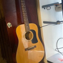 Washburn Electric/acoustic Guitar 