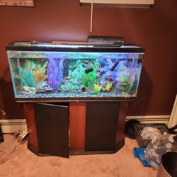 55 Gallon Fish Tank With Cabinet And Fully Loaded With Filter,south American Chicleds 