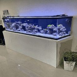 Full Aquarium Tank - Spacious & Eye-Catching reduce them