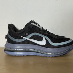 Nike Pegasus Premium Anthracite Pure Platinum Sneakers HQ2592-006 Men's Size 9.5