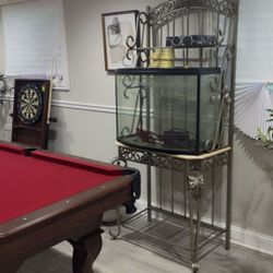 Bow Front Fish Tank