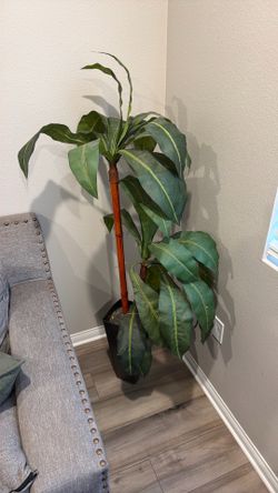 Artificial Plant