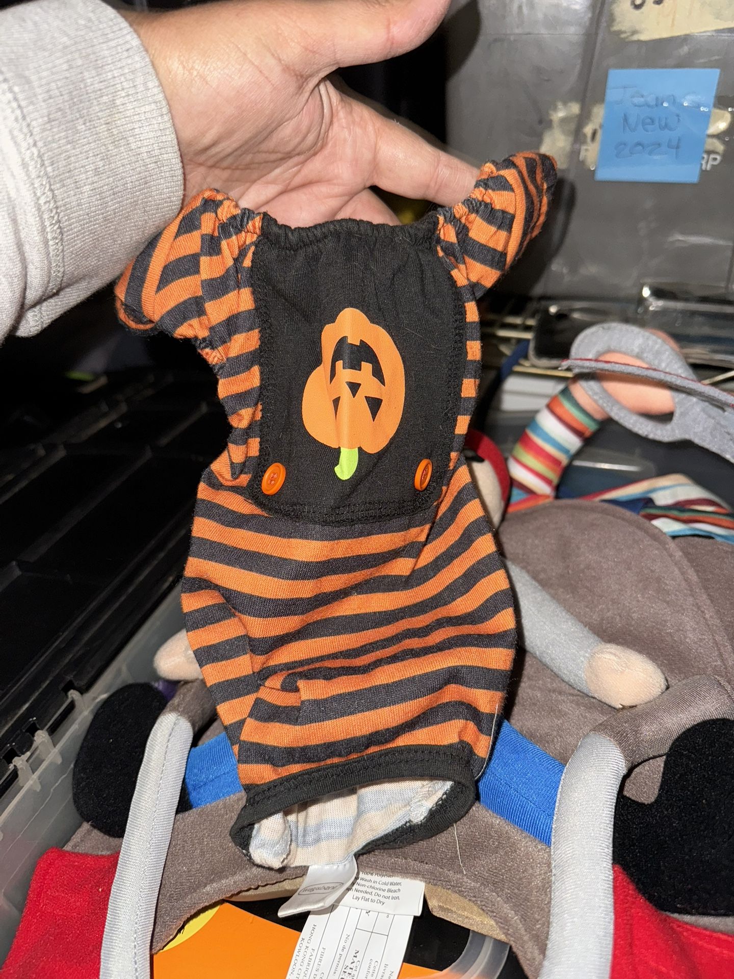 XXS Pumpkin Dog Costume 